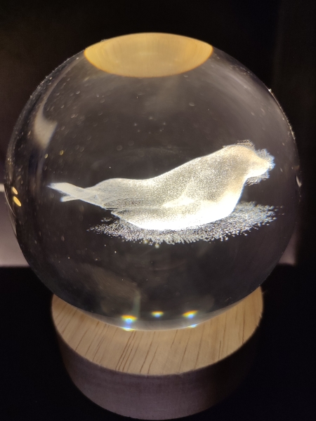 Hologram ball - Seal